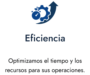 Eficiencia---Aura-Cargo
